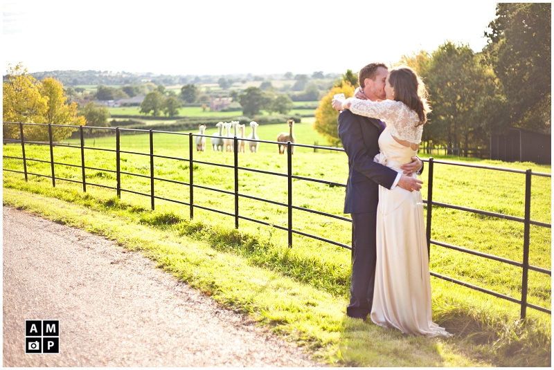 "Relaxed-wedding-photos-on-a-farm-with-alpacas"