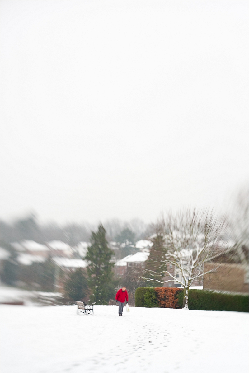 "Anneli Marinovich Photography Snow Photo"