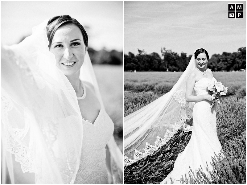 "Mayfield-Lavender-Wedding-Couple-Photos"