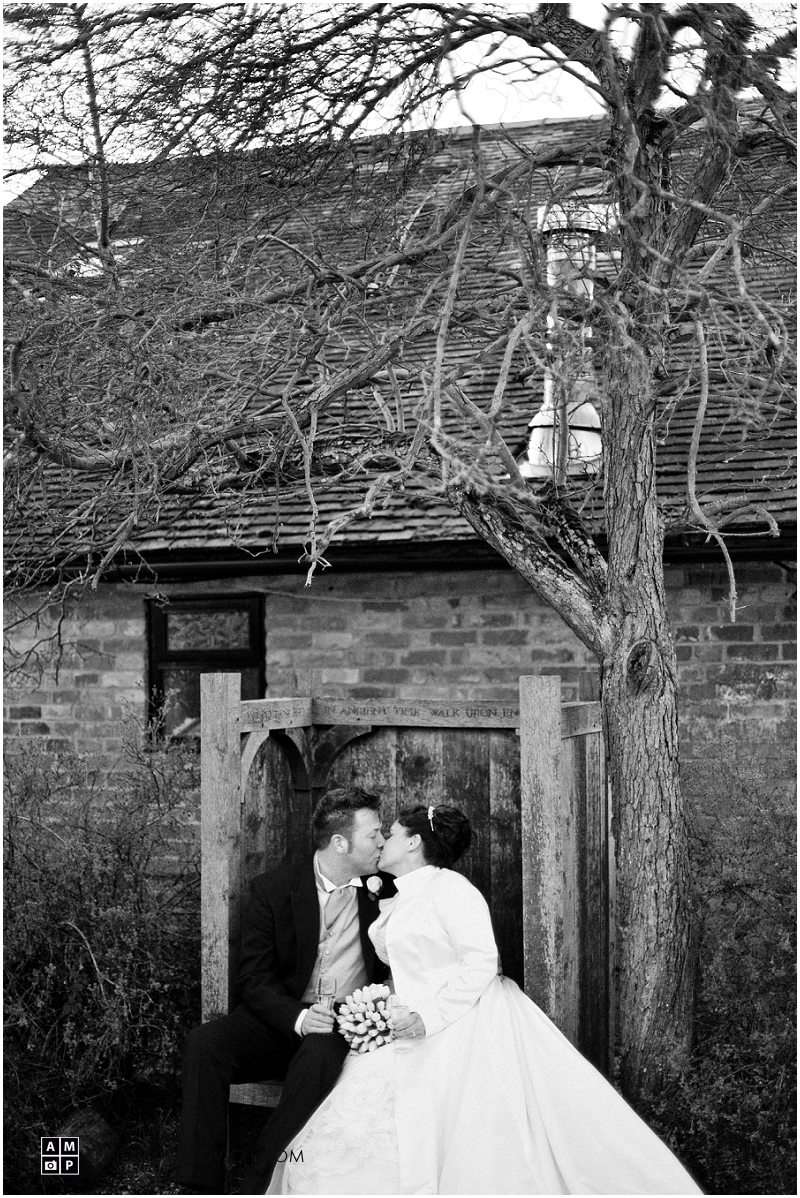"wedding-couple-photos-beneath-an-old-tree"