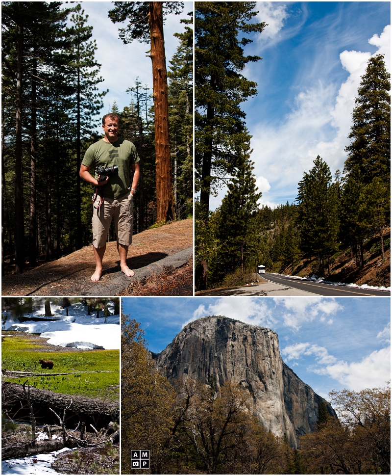 "Yosemite-National-Park-El-Capitan-Photos"