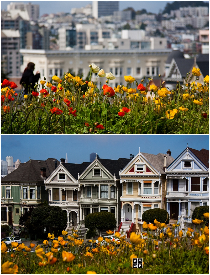 "Painted-ladies-San-Francisco-photography"