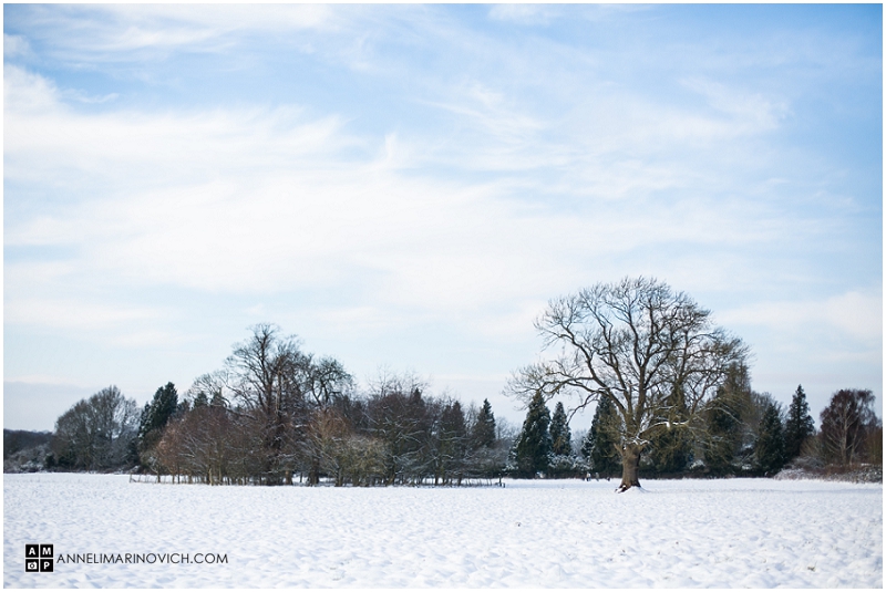 "beautiful-snow-covered-field"