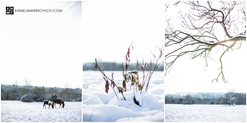 "snow-landscape-photography"