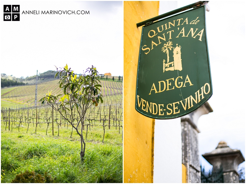 "wine-estate-wedding-venue-in-Portugal"