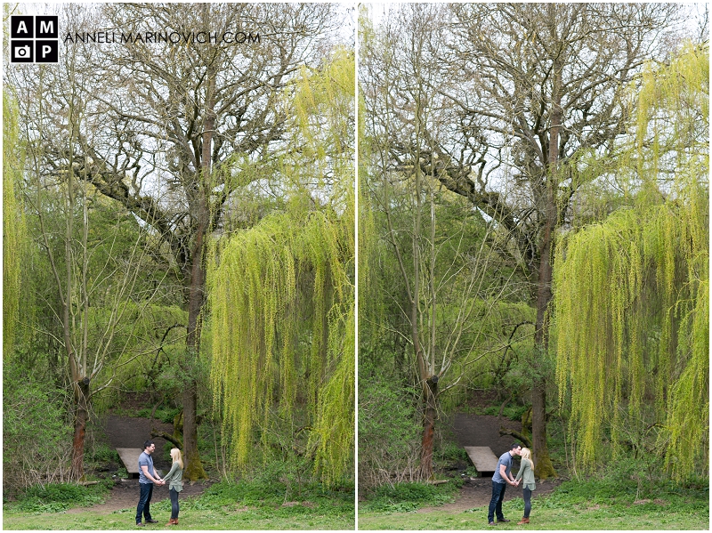 "weeping-willow-in-a-couple-shoot"