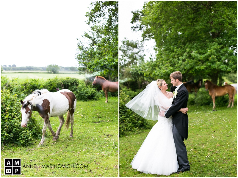 "New-Forest-wild-horses-with-bride-and-groom"
