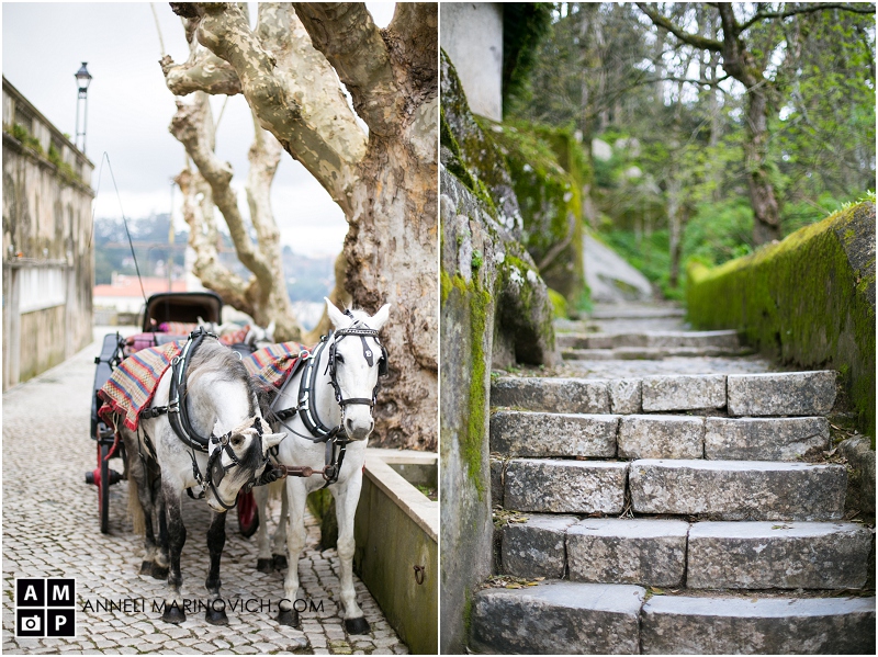 "Sintra-Portugal-Travel-Photography-Anneli-Marinovich"