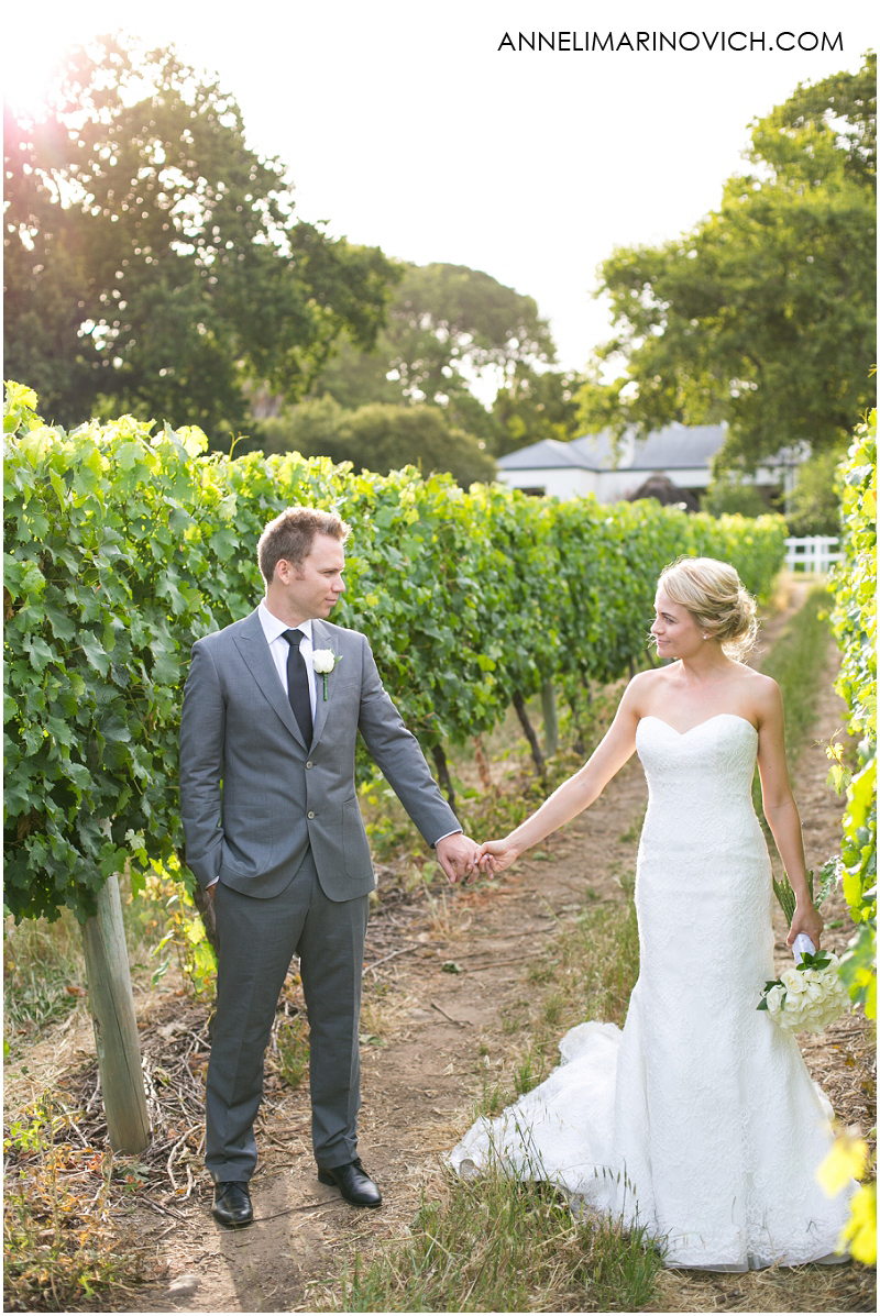 "sunset-vineyard-wedding-photos-Zorgvliet"