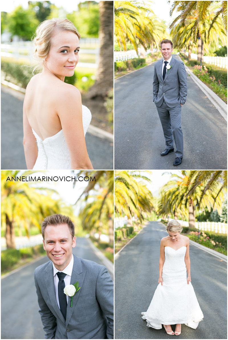 "wedding-couple-with-palm-trees"