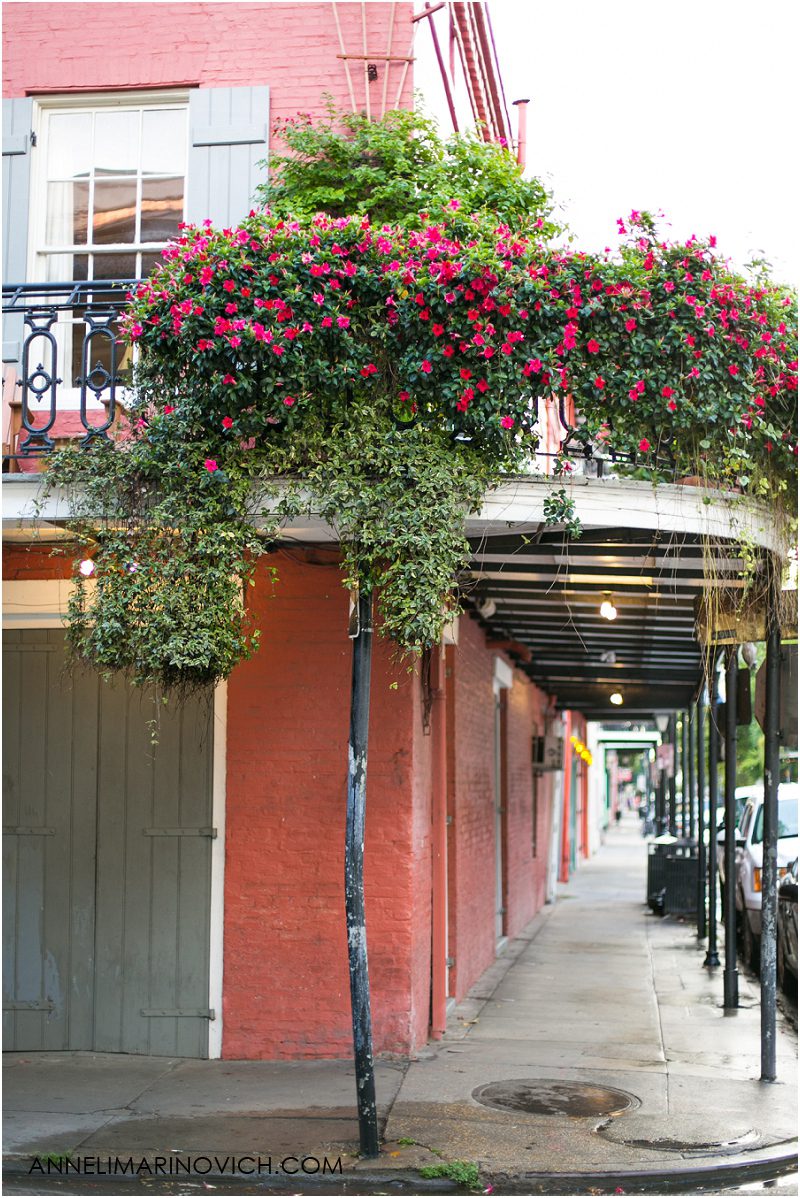 "French-and-Spanish-Creole-architecture-New-Orleans"