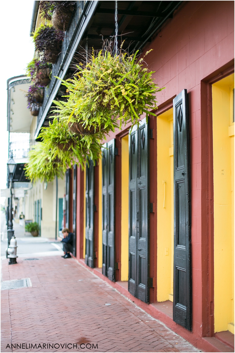 "hanging-plants-from-New-Orleans-balconies"