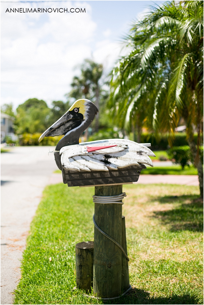 "interesting-letterboxes-in-Florida"
