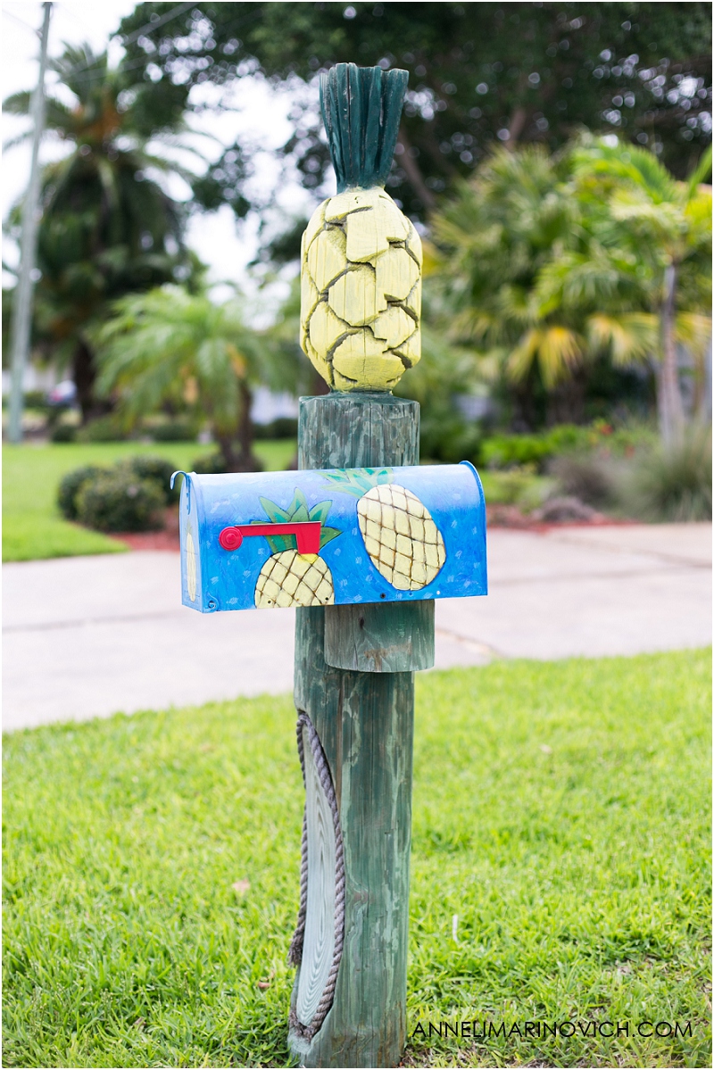 "pineapple-letterbox"