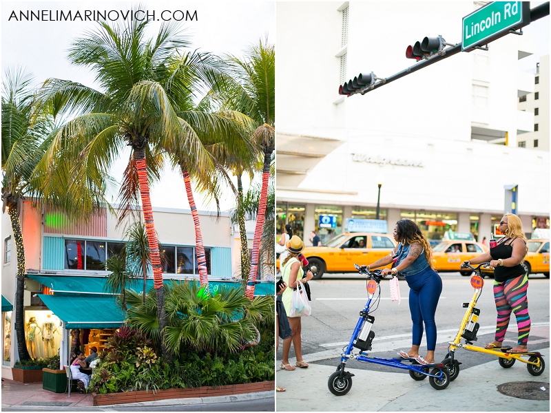 "Miami-streets-with-interesting-residents"