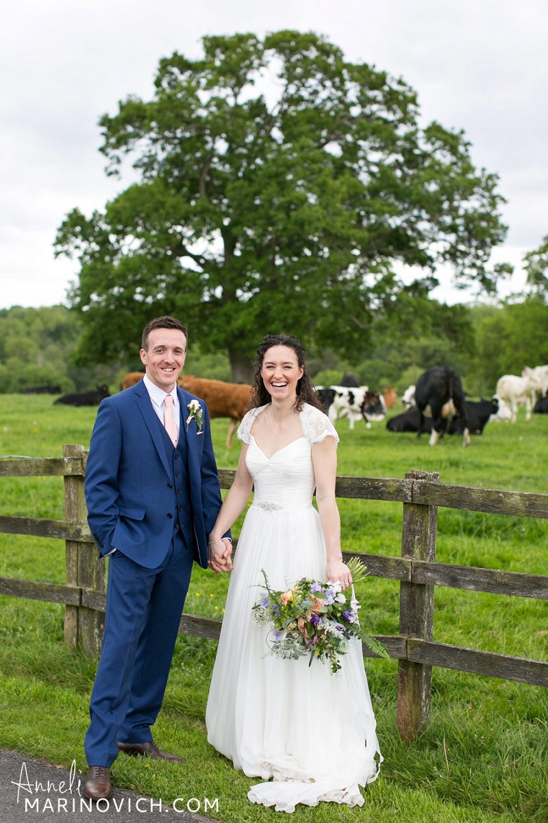 "Wedding-photos-with-cows"