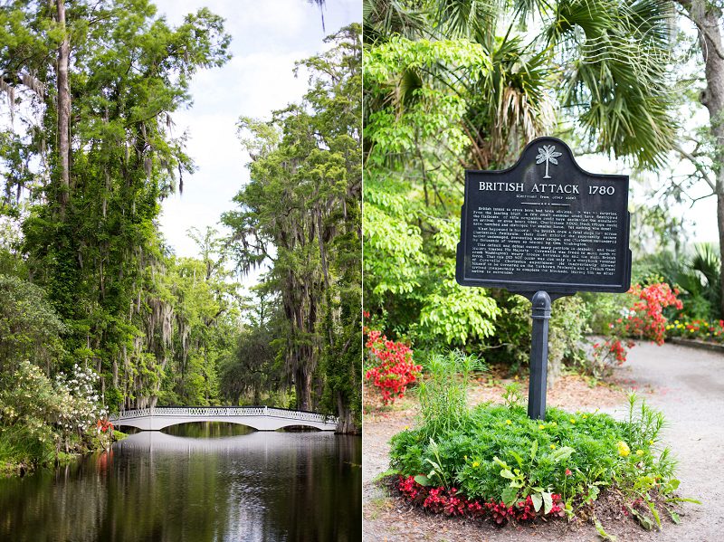 "Magnolia-Plantation-Charleston-South-Carolina"