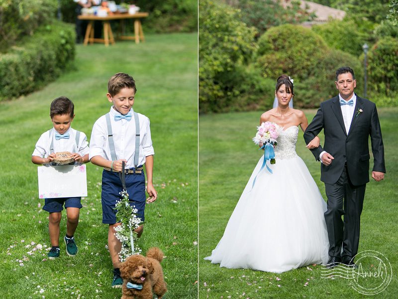 "Red-Toy-Poodle-dog-at-a-wedding"