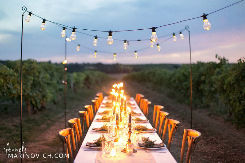 "Dinner-in-the-vines-La-Vue-France-Wedding-Photographer"