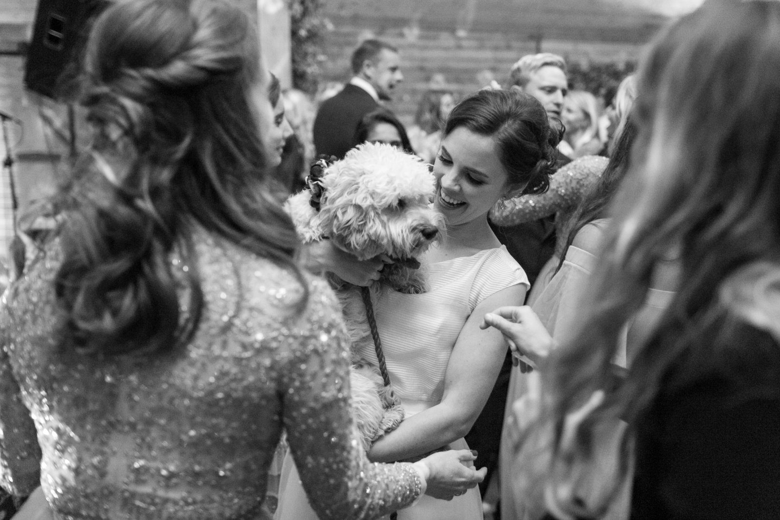 Bride brings her dog onto the dance floor at her High Billinghurst Farm wedding